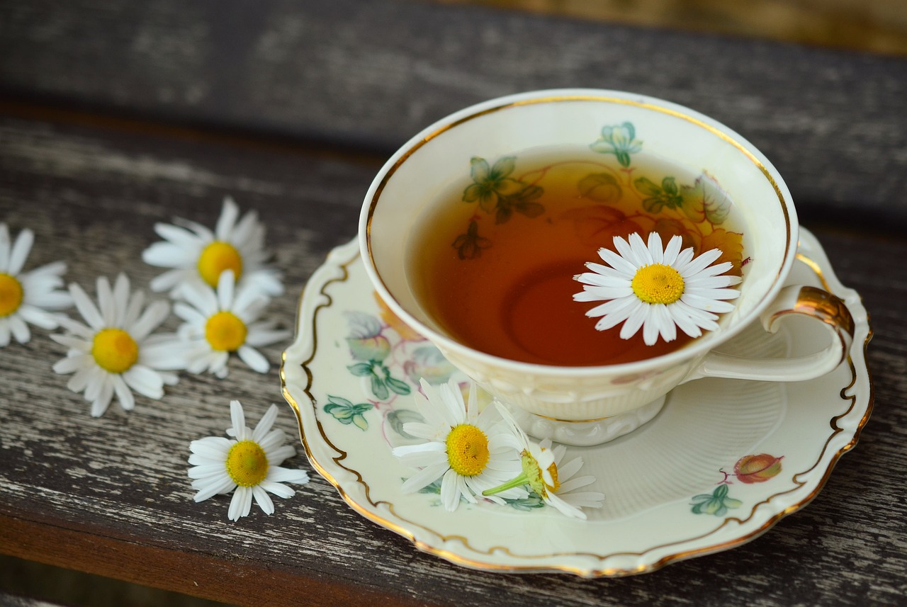 Unwind, Relax, and Conquer: The Power of Cognitive Behavioral Therapy